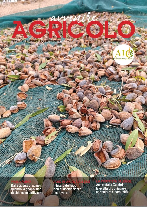 mandorle avvenire agricolo aic